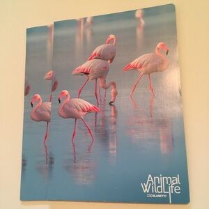 Lot of 2 8x11.5” blasetti italian school notebooks flamingo 🦩 squares 🇮🇹
